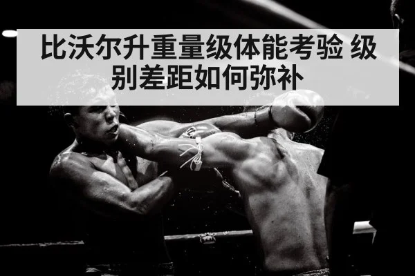 heavyweight boxing power