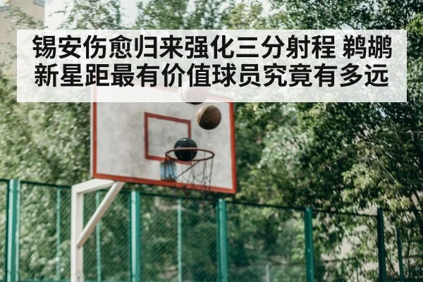 锡安伤愈归来强化三分射程 鹈鹕新星距最有价值球员究竟有多远